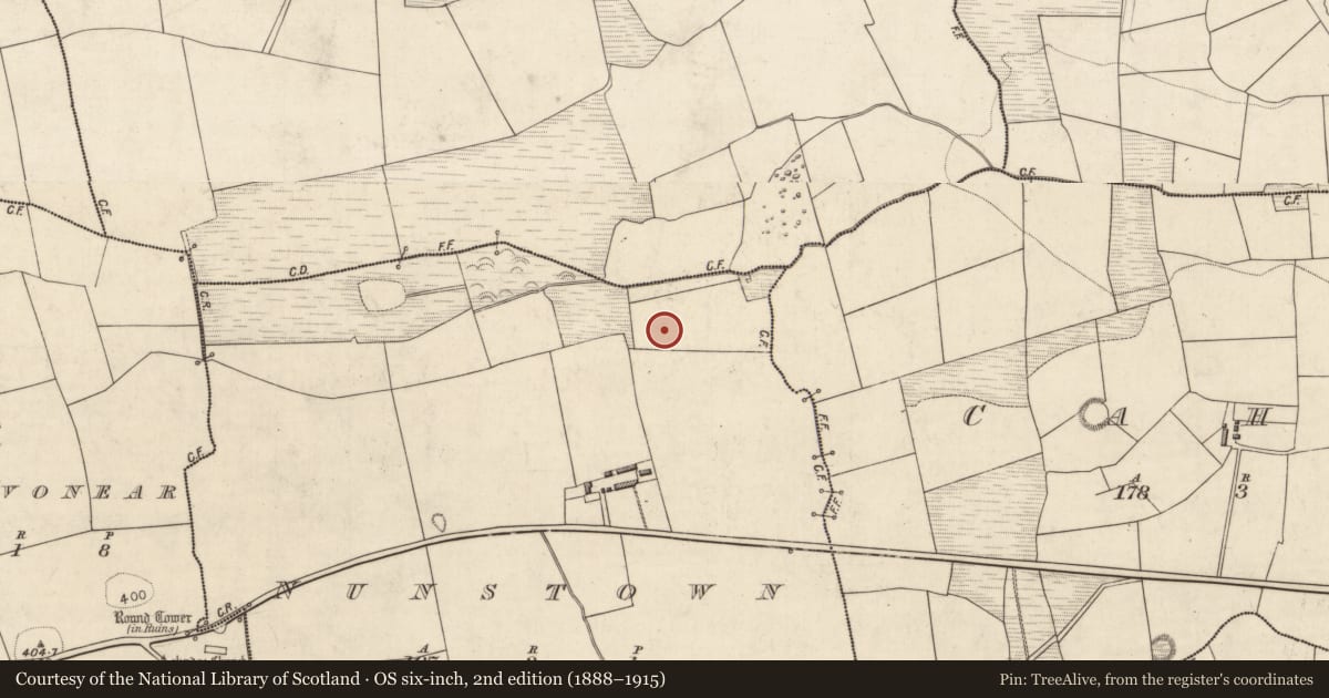 Ordnance Survey six-inch map, 2nd edition (1888–1915) covering the location of Enclosure, Nunstown, County Kerry, with a pin at the register's coordinates