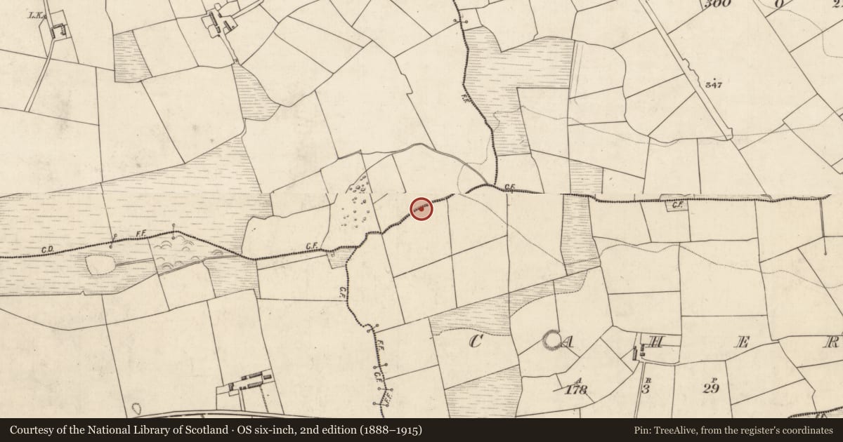 Ordnance Survey six-inch map, 2nd edition (1888–1915) covering the location of Burnt spread, Aghacurreen, County Kerry, with a pin at the register's coordinates
