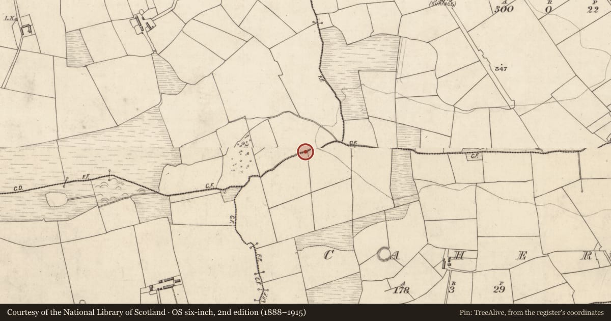 Ordnance Survey six-inch map, 2nd edition (1888–1915) covering the location of Burnt spread, Aghacurreen, County Kerry, with a pin at the register's coordinates