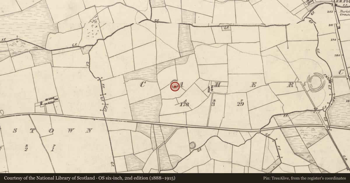 Ordnance Survey six-inch map, 2nd edition (1888–1915) covering the location of Ringfort - rath, Caher, County Kerry, with a pin at the register's coordinates