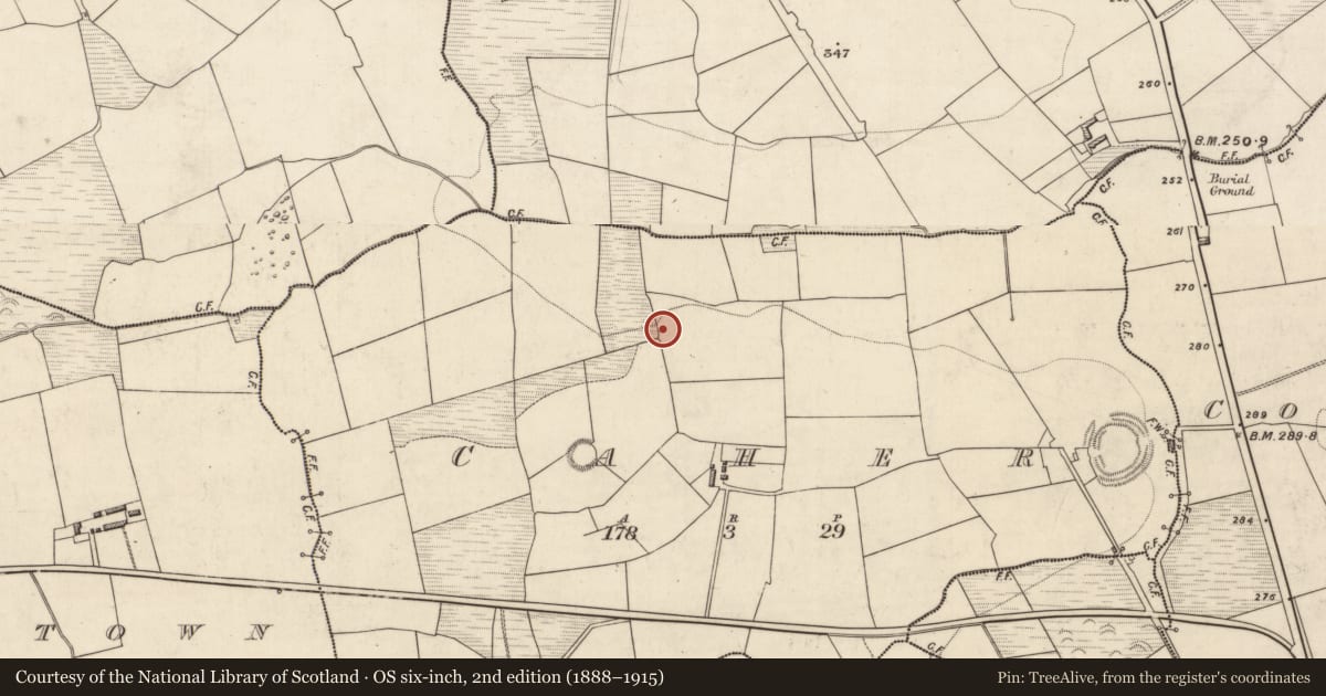 Ordnance Survey six-inch map, 2nd edition (1888–1915) covering the location of Fulacht fia, Caher, County Kerry, with a pin at the register's coordinates