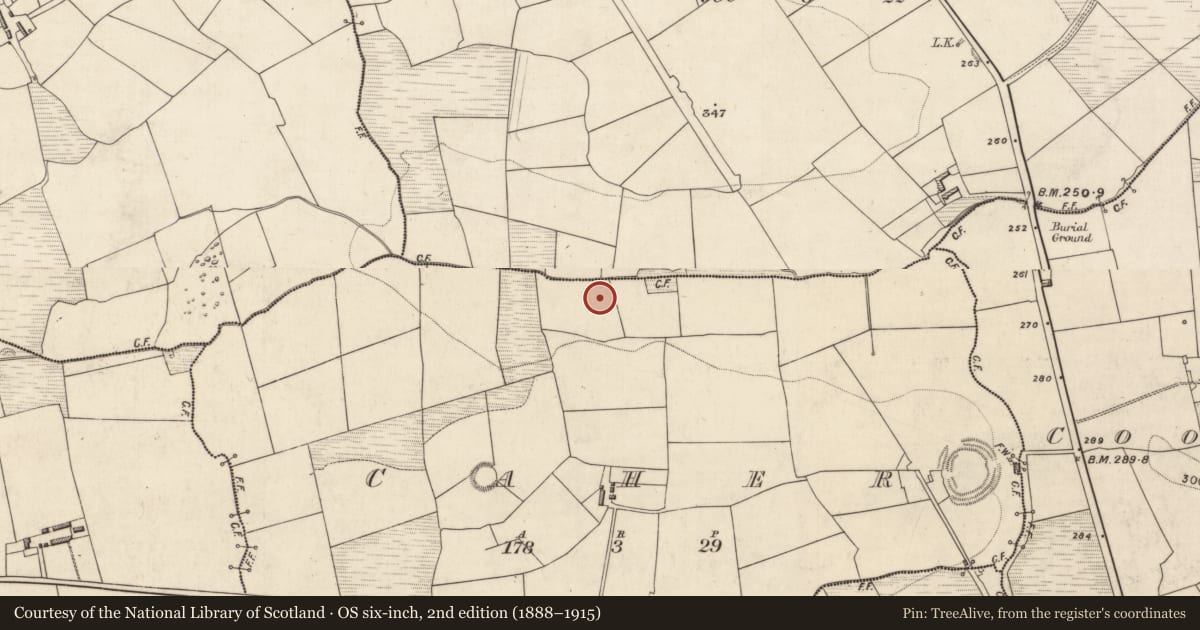 Ordnance Survey six-inch map, 2nd edition (1888–1915) covering the location of Fulacht fia, Caher, County Kerry, with a pin at the register's coordinates