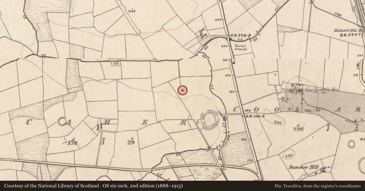 Ordnance Survey six-inch map, 2nd edition (1888–1915) covering the location of Fulacht fia, Caher, County Kerry, with a pin at the register's coordinates