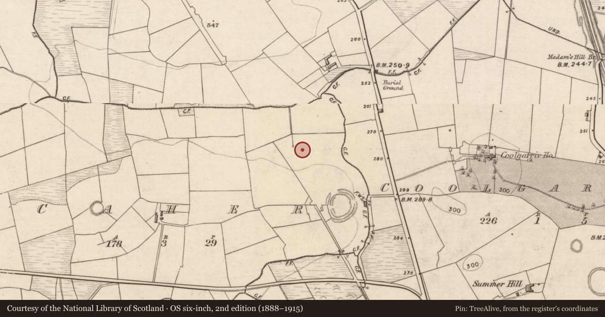 Ordnance Survey six-inch map, 2nd edition (1888–1915) covering the location of Fulacht fia, Caher, County Kerry, with a pin at the register's coordinates