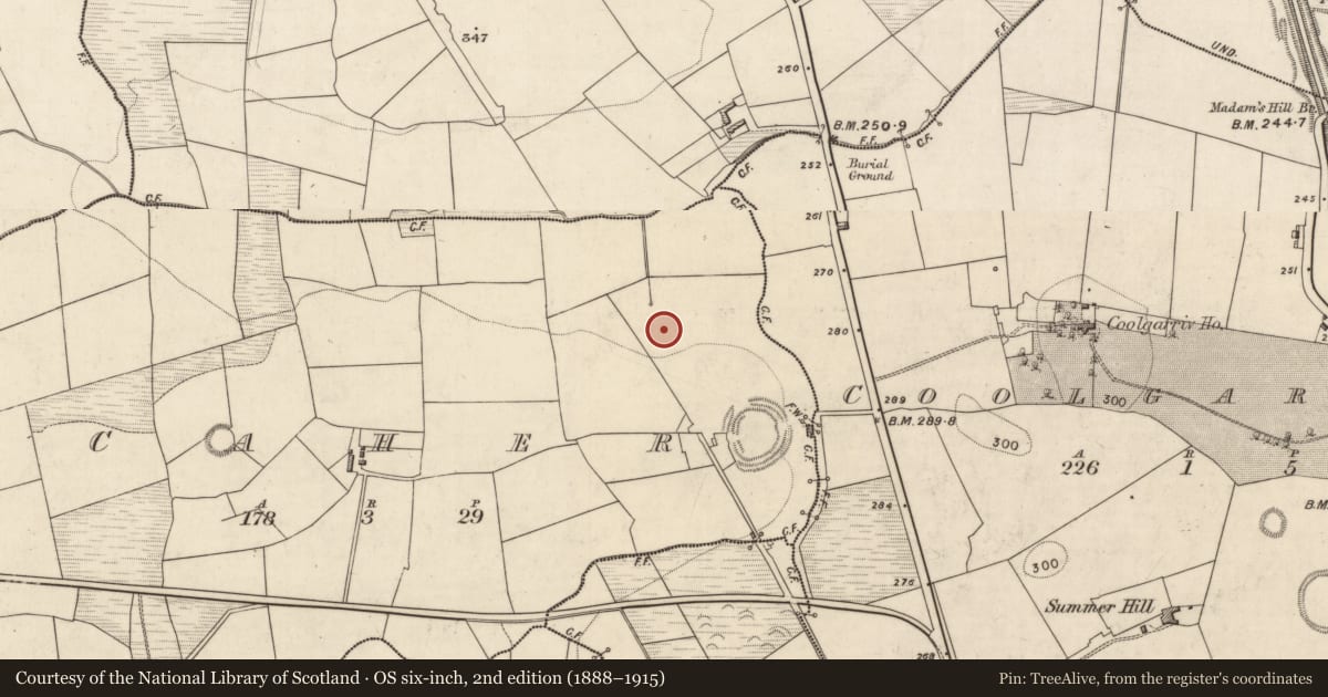 Ordnance Survey six-inch map, 2nd edition (1888–1915) covering the location of Fulacht fia, Caher, County Kerry, with a pin at the register's coordinates