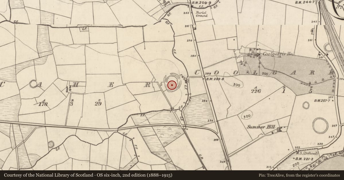 Ordnance Survey six-inch map, 2nd edition (1888–1915) covering the location of Ringfort - rath, Caher, County Kerry, with a pin at the register's coordinates