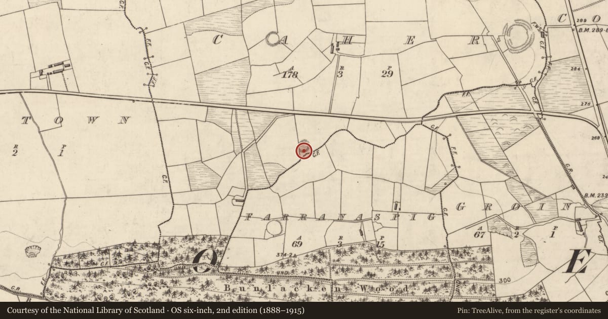 Ordnance Survey six-inch map, 2nd edition (1888–1915) covering the location of Ringfort - rath, Caher, County Kerry, with a pin at the register's coordinates