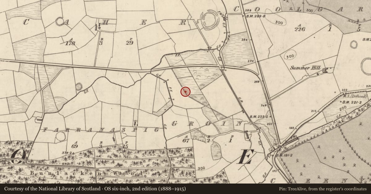 Ordnance Survey six-inch map, 2nd edition (1888–1915) covering the location of Fulacht fia, Groin, County Kerry, with a pin at the register's coordinates
