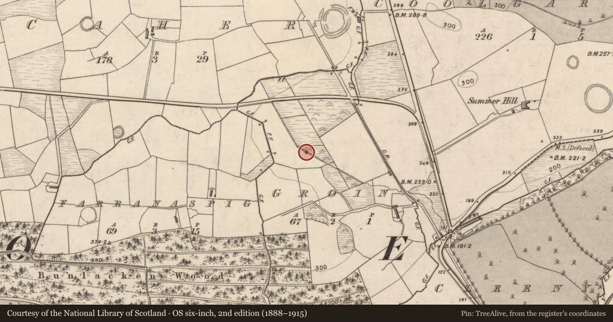 Ordnance Survey six-inch map, 2nd edition (1888–1915) covering the location of Burnt spread, Groin, County Kerry, with a pin at the register's coordinates