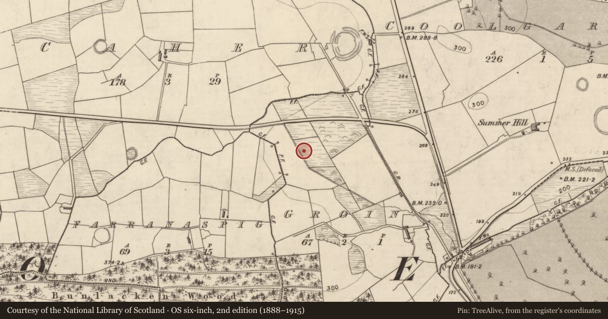 Ordnance Survey six-inch map, 2nd edition (1888–1915) covering the location of Fulacht fia, Groin, County Kerry, with a pin at the register's coordinates