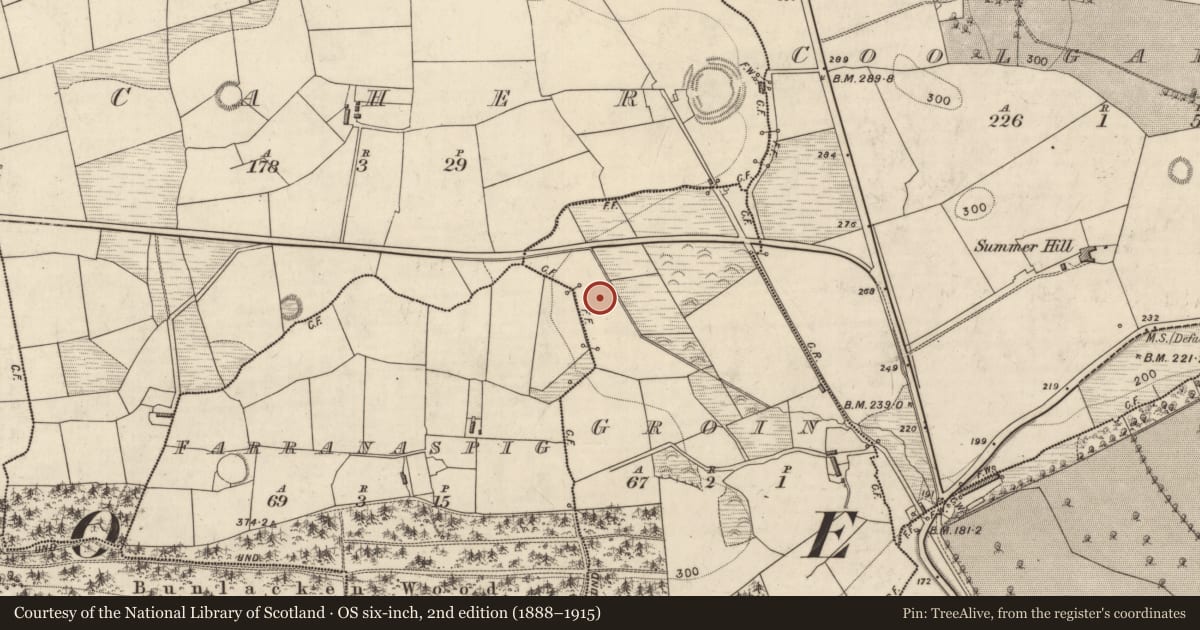 Ordnance Survey six-inch map, 2nd edition (1888–1915) covering the location of Fulacht fia, Groin, County Kerry, with a pin at the register's coordinates