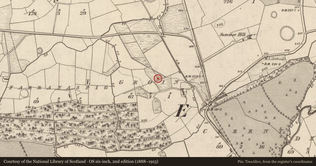 Ordnance Survey six-inch map, 2nd edition (1888–1915) covering the location of Fulacht fia, Groin, County Kerry, with a pin at the register's coordinates