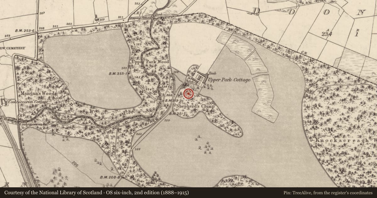 Ordnance Survey six-inch map, 2nd edition (1888–1915) covering the location of Standing stone, Deerpark, County Kerry, with a pin at the register's coordinates