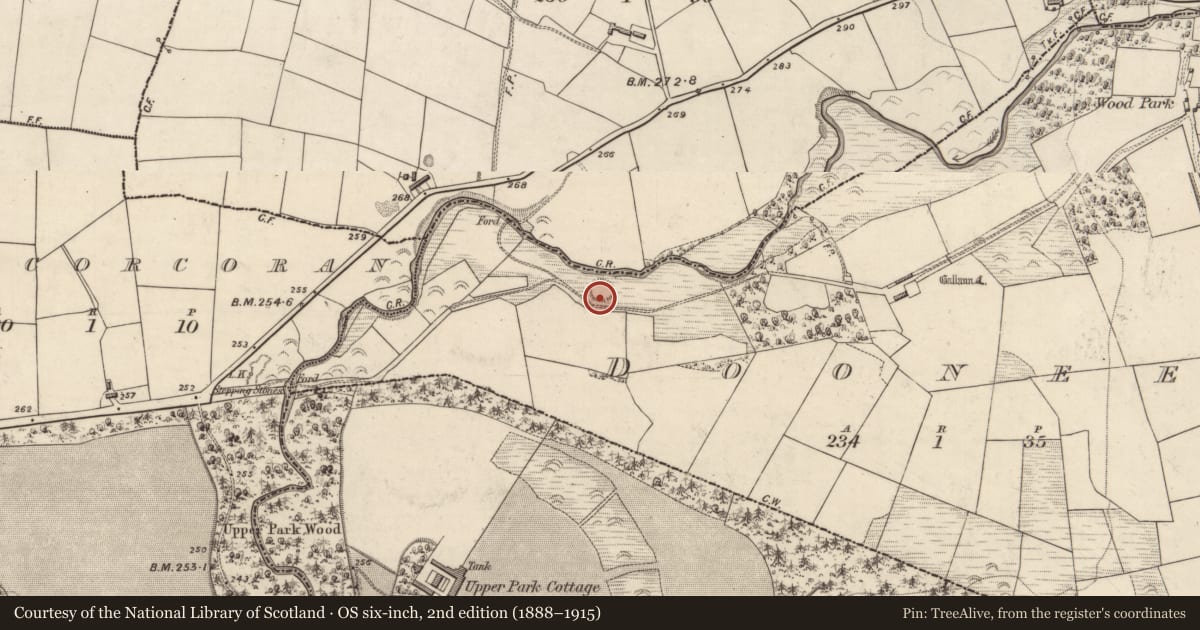 Ordnance Survey six-inch map, 2nd edition (1888–1915) covering the location of Ringfort - rath, Dooneen, County Kerry, with a pin at the register's coordinates