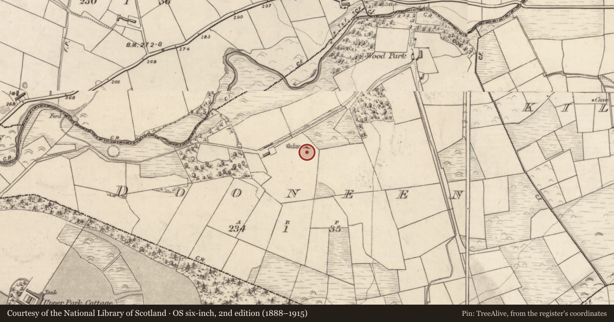 Ordnance Survey six-inch map, 2nd edition (1888–1915) covering the location of Standing stone, Dooneen, County Kerry, with a pin at the register's coordinates