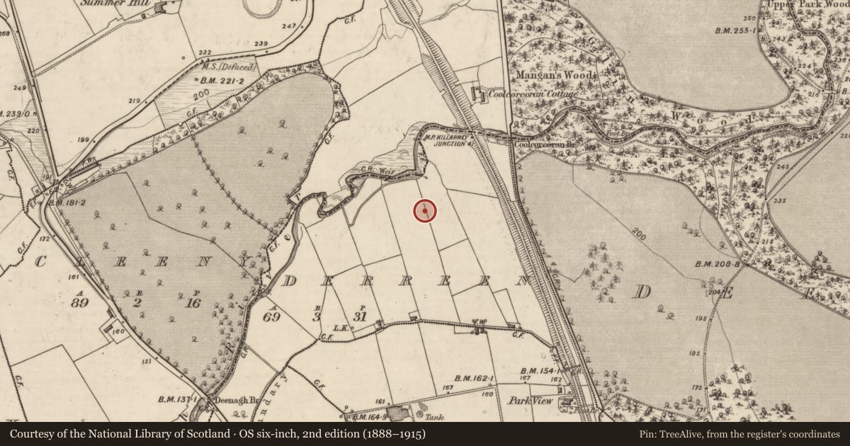 Ordnance Survey six-inch map, 2nd edition (1888–1915) covering the location of Standing stone, Derreen, County Kerry, with a pin at the register's coordinates