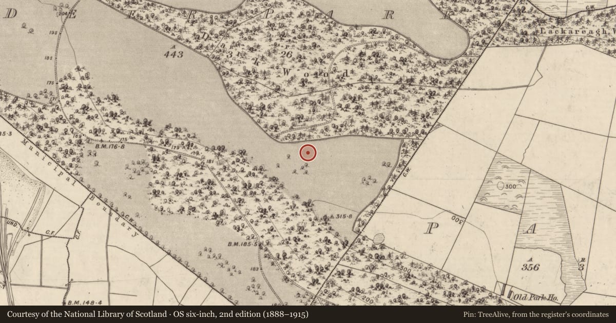 Ordnance Survey six-inch map, 2nd edition (1888–1915) covering the location of Standing stone, Deerpark, County Kerry, with a pin at the register's coordinates