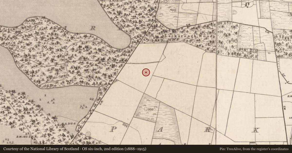 Ordnance Survey six-inch map, 2nd edition (1888–1915) covering the location of Fulacht fia, Park, County Kerry, with a pin at the register's coordinates