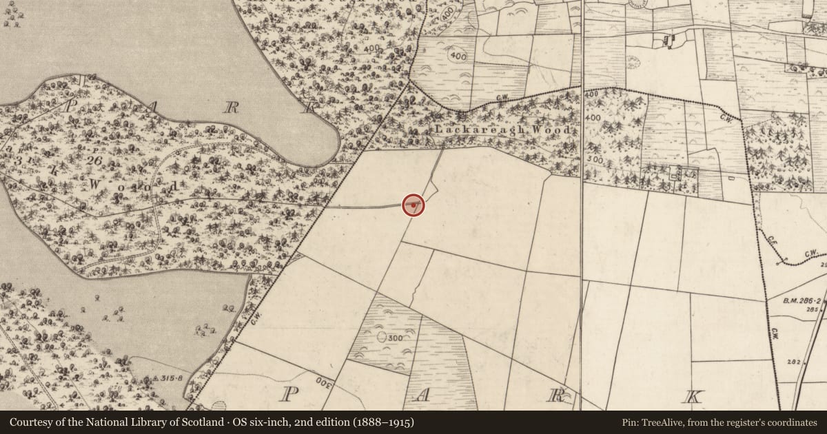Ordnance Survey six-inch map, 2nd edition (1888–1915) covering the location of Souterrain, Park, County Kerry, with a pin at the register's coordinates