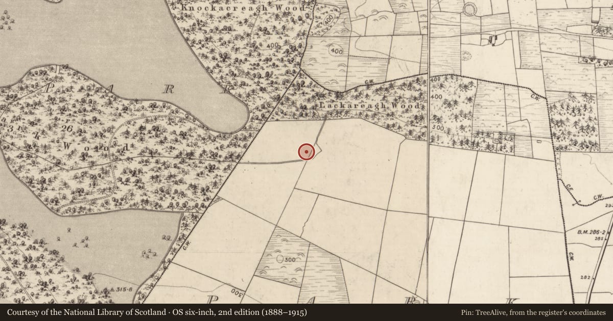 Ordnance Survey six-inch map, 2nd edition (1888–1915) covering the location of Ringfort - rath, Park, County Kerry, with a pin at the register's coordinates