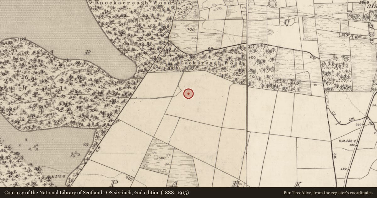 Ordnance Survey six-inch map, 2nd edition (1888–1915) covering the location of Fulacht fia, Park, County Kerry, with a pin at the register's coordinates