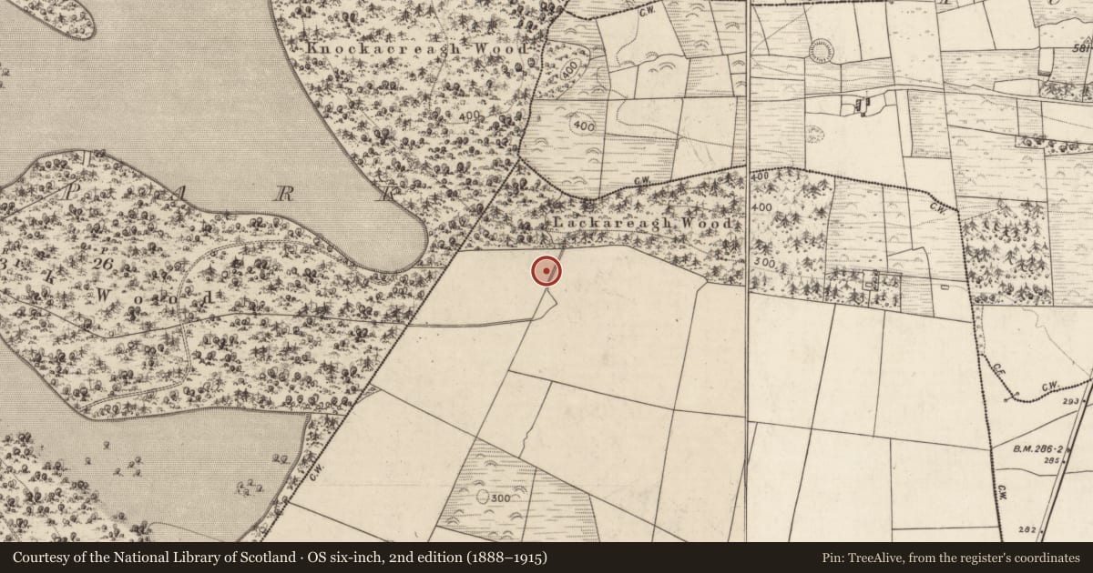 Ordnance Survey six-inch map, 2nd edition (1888–1915) covering the location of Burnt spread, Park, County Kerry, with a pin at the register's coordinates