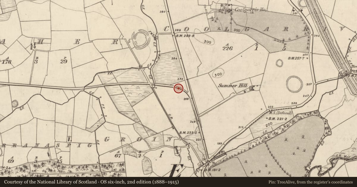 Ordnance Survey six-inch map, 2nd edition (1888–1915) covering the location of Brickworks, Coolgarriv, County Kerry, with a pin at the register's coordinates