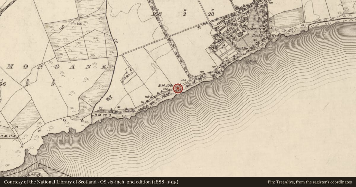 Ordnance Survey six-inch map, 2nd edition (1888–1915) covering the location of Ringfort - rath, Maulagh, County Kerry, with a pin at the register's coordinates