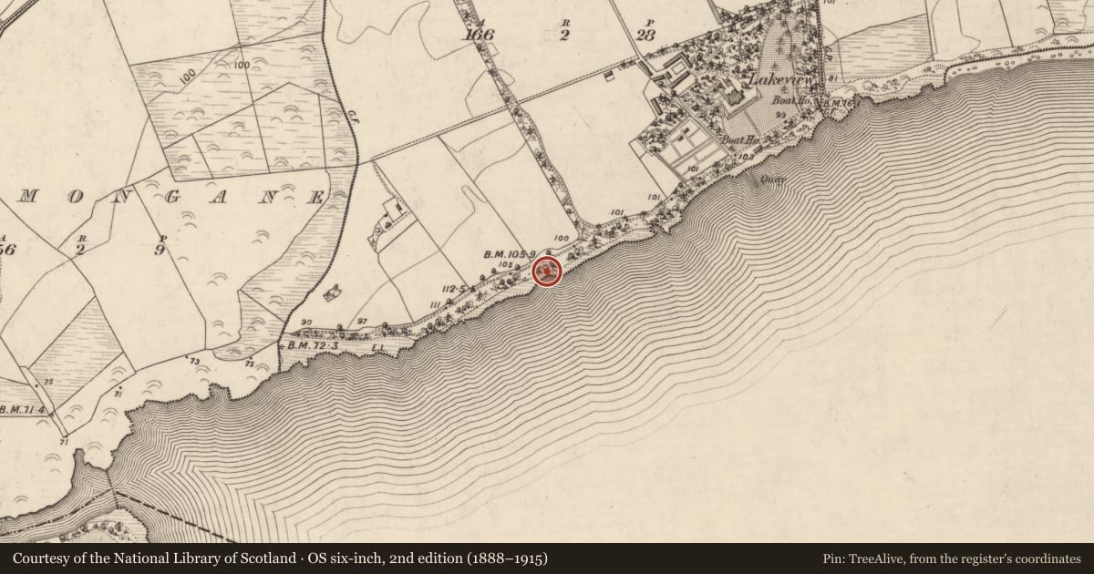 Ordnance Survey six-inch map, 2nd edition (1888–1915) covering the location of Bullaun stone, Maulagh, County Kerry, with a pin at the register's coordinates