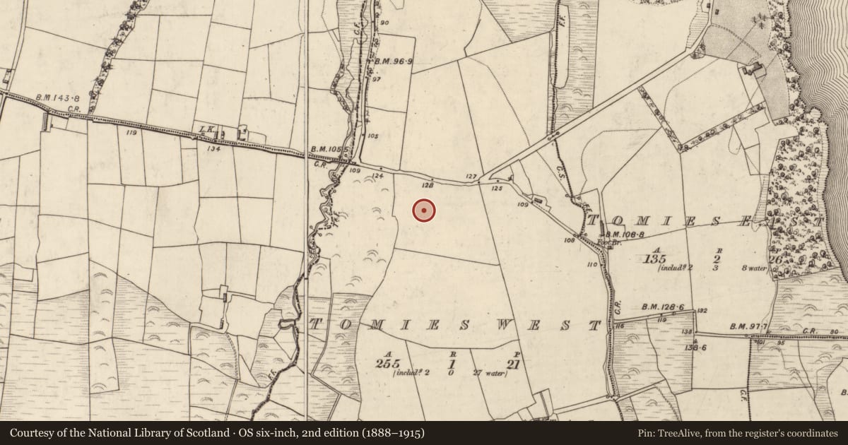 Ordnance Survey six-inch map, 2nd edition (1888–1915) covering the location of Standing stone, Tomies West, County Kerry, with a pin at the register's coordinates