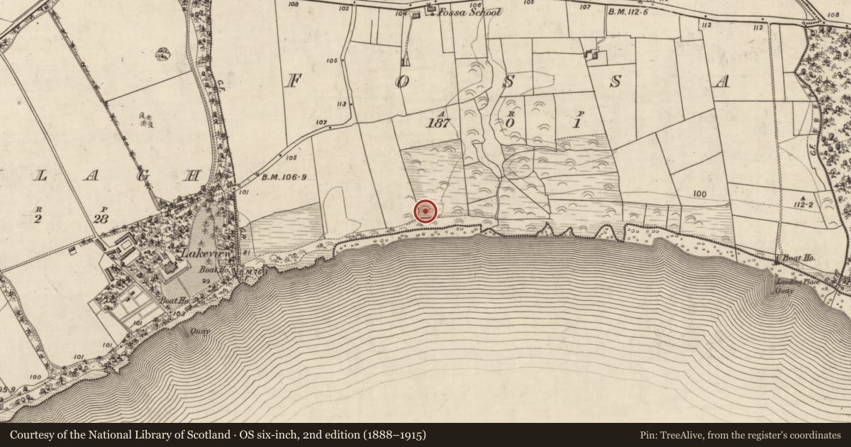Ordnance Survey six-inch map, 2nd edition (1888–1915) covering the location of Ringfort - rath, Fossa, County Kerry, with a pin at the register's coordinates