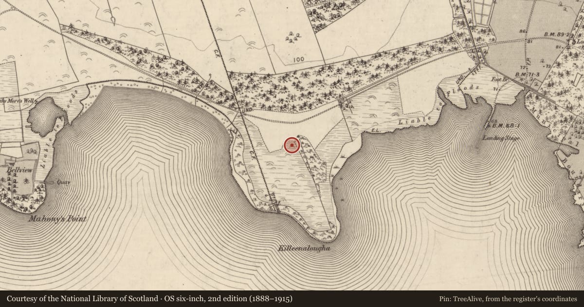 Ordnance Survey six-inch map, 2nd edition (1888–1915) covering the location of Fulacht fia, Gortroe, County Kerry, with a pin at the register's coordinates