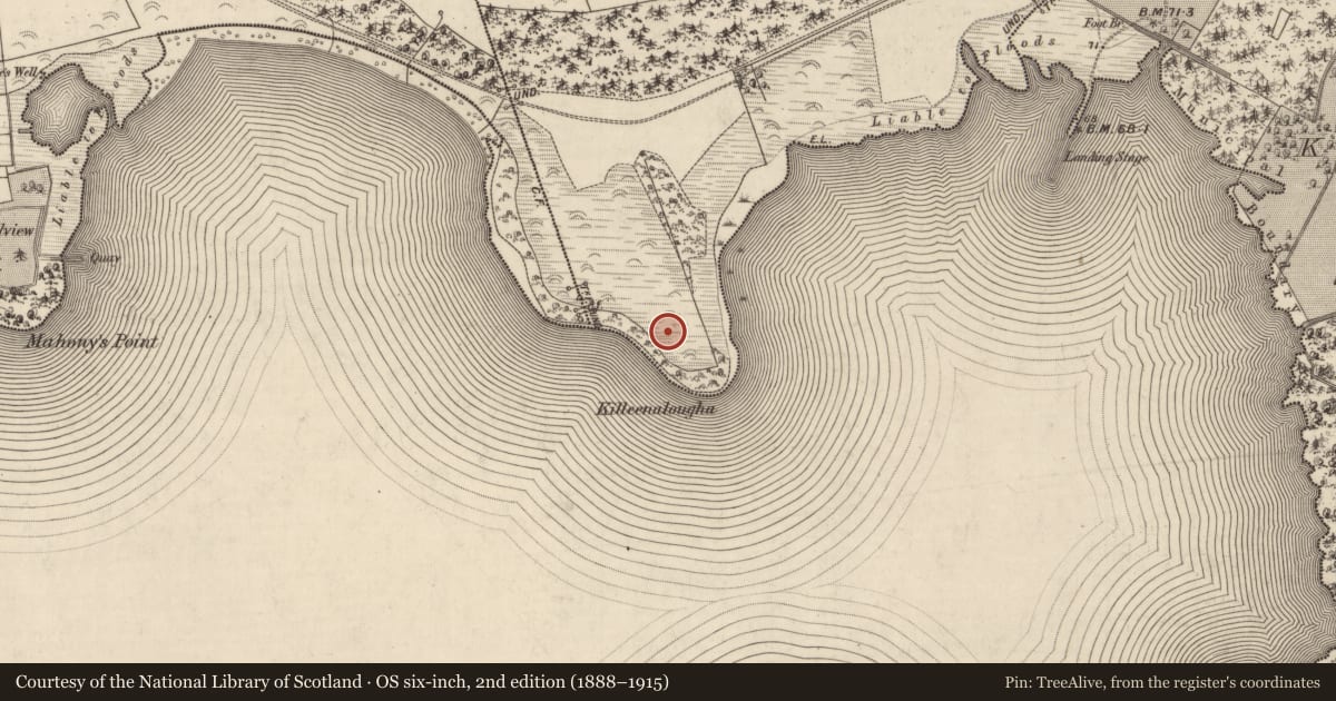 Ordnance Survey six-inch map, 2nd edition (1888–1915) covering the location of Cist, Gortroe, County Kerry, with a pin at the register's coordinates