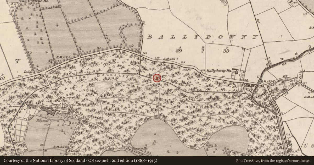 Ordnance Survey six-inch map, 2nd edition (1888–1915) covering the location of Fulacht fia, Ballydowny, County Kerry, with a pin at the register's coordinates