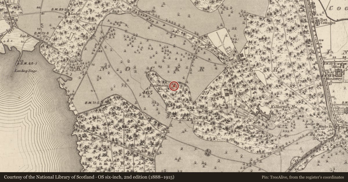 Ordnance Survey six-inch map, 2nd edition (1888–1915) covering the location of Ritual site - holy well, Knockreer, County Kerry, with a pin at the register's coordinates