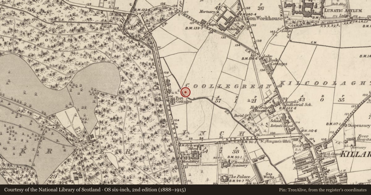 Ordnance Survey six-inch map, 2nd edition (1888–1915) covering the location of Barrow - unclassified, Coollegrean, County Kerry, with a pin at the register's coordinates