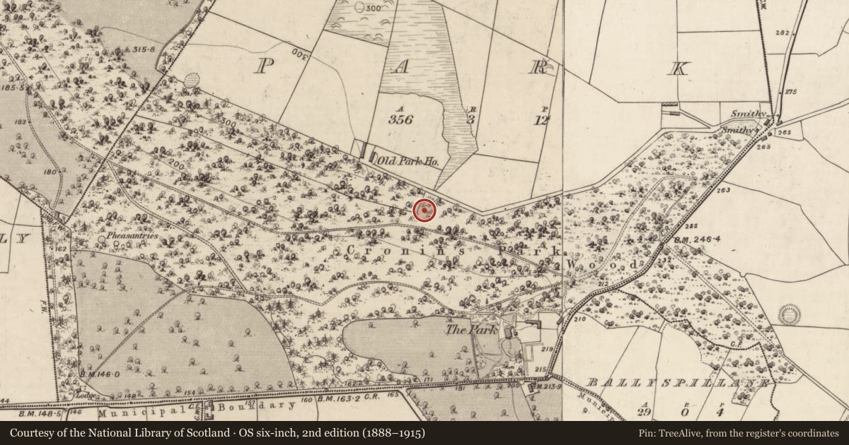 Ordnance Survey six-inch map, 2nd edition (1888–1915) covering the location of Ringfort - rath, Park, County Kerry, with a pin at the register's coordinates