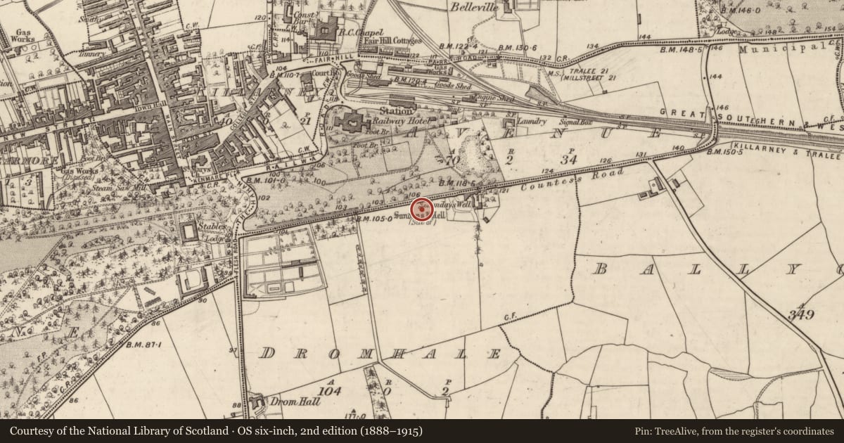 Ordnance Survey six-inch map, 2nd edition (1888–1915) covering the location of Ritual site - holy well, Dromhale, County Kerry, with a pin at the register's coordinates