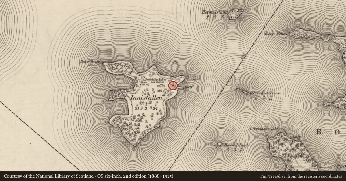 Ordnance Survey six-inch map, 2nd edition (1888–1915) covering the location of Graveslab, Innisfallen, County Kerry, with a pin at the register's coordinates