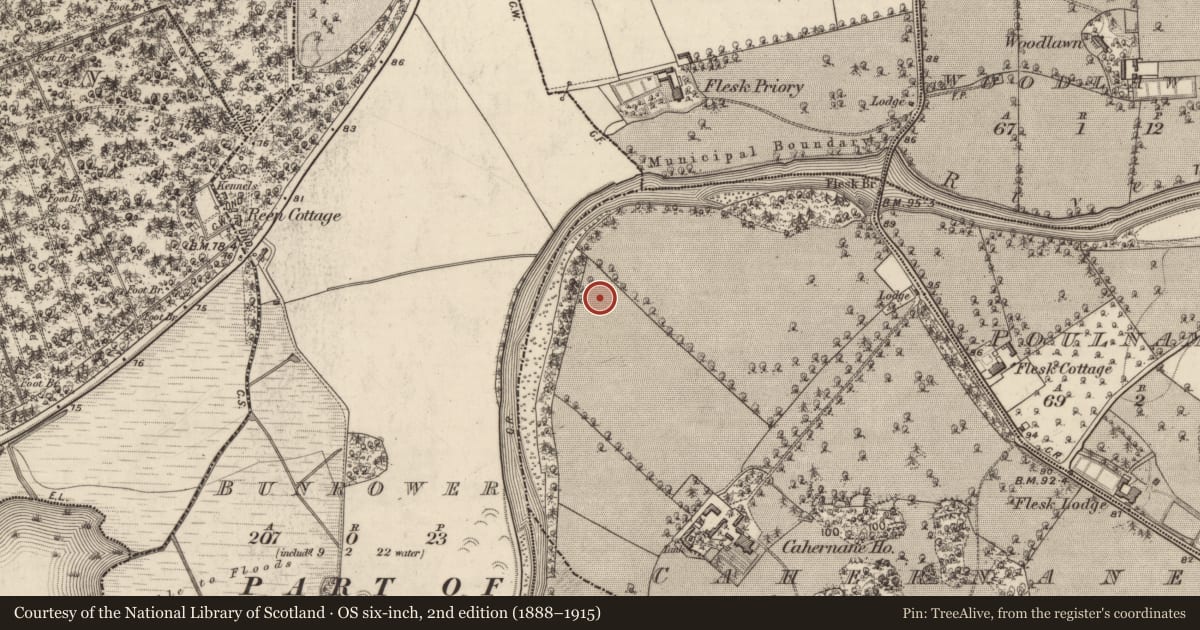 Ordnance Survey six-inch map, 2nd edition (1888–1915) covering the location of Enclosure, Cahernane (Magunihy By., Killarney Par.), County Kerry, with a pin at the register's coordinates