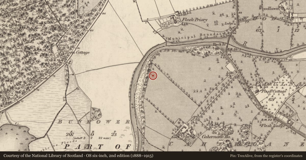 Ordnance Survey six-inch map, 2nd edition (1888–1915) covering the location of Enclosure, Cahernane (Magunihy By., Killarney Par.), County Kerry, with a pin at the register's coordinates