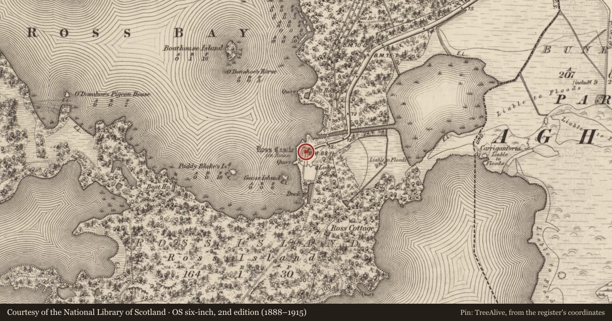 Ordnance Survey six-inch map, 2nd edition (1888–1915) covering the location of Castle - tower house, Ross Island, County Kerry, with a pin at the register's coordinates