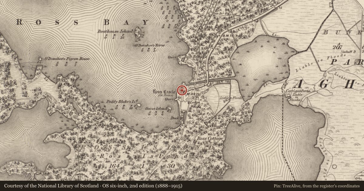 Ordnance Survey six-inch map, 2nd edition (1888–1915) covering the location of Bawn, Ross Island, County Kerry, with a pin at the register's coordinates
