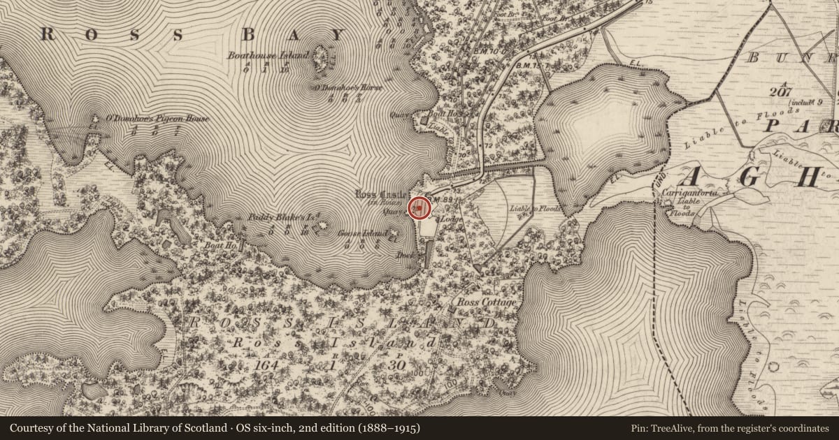 Ordnance Survey six-inch map, 2nd edition (1888–1915) covering the location of Barracks, Ross Island, County Kerry, with a pin at the register's coordinates
