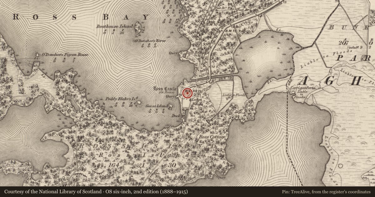 Ordnance Survey six-inch map, 2nd edition (1888–1915) covering the location of Battery, Ross Island, County Kerry, with a pin at the register's coordinates