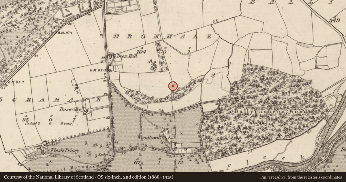 Ordnance Survey six-inch map, 2nd edition (1888–1915) covering the location of Ringfort - rath, Dromhale, County Kerry, with a pin at the register's coordinates