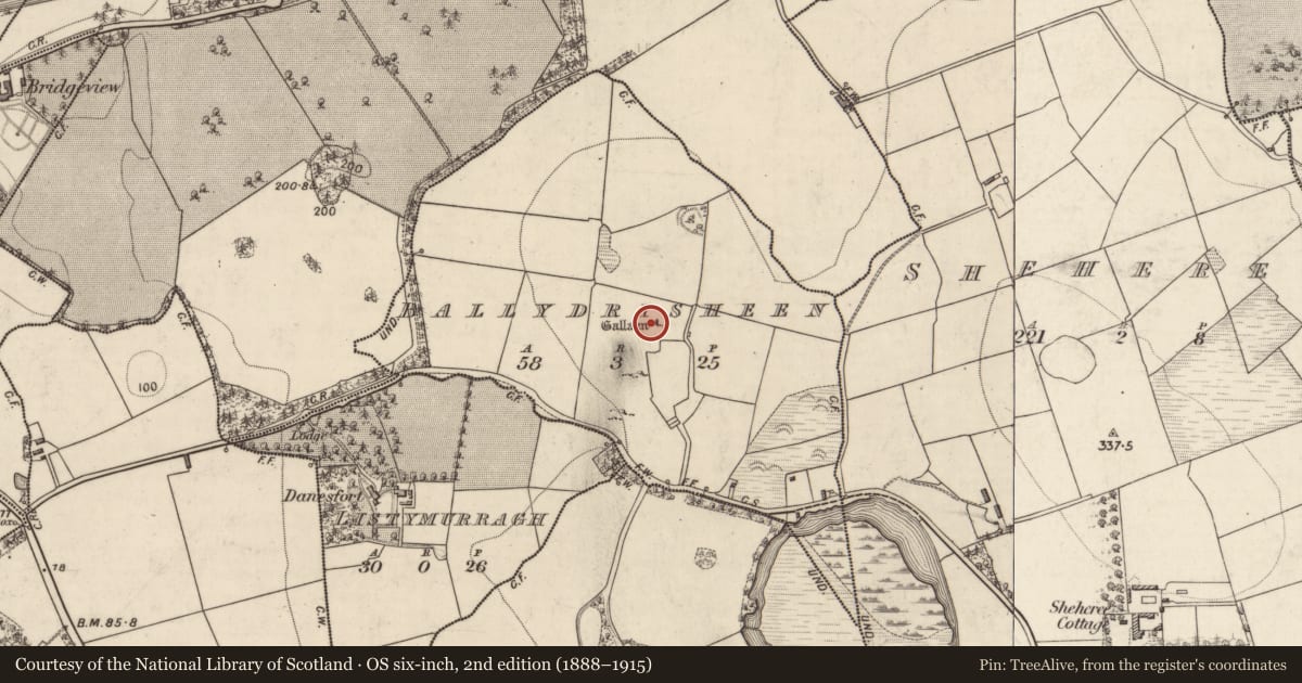 Ordnance Survey six-inch map, 2nd edition (1888–1915) covering the location of Standing stone, Ballydrisheen, County Kerry, with a pin at the register's coordinates