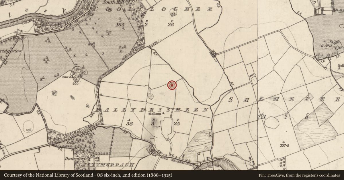 Ordnance Survey six-inch map, 2nd edition (1888–1915) covering the location of Ringfort - rath, Ballydrisheen, County Kerry, with a pin at the register's coordinates