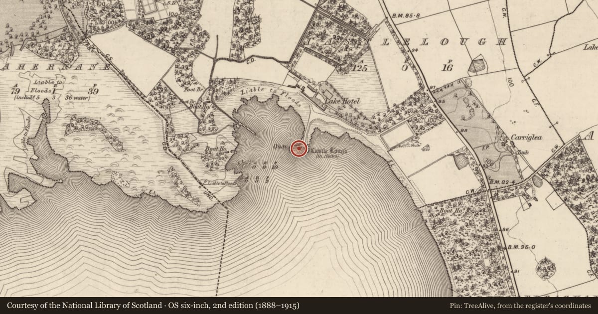 Ordnance Survey six-inch map, 2nd edition (1888–1915) covering the location of Castle - tower house, Castlelough, County Kerry, with a pin at the register's coordinates