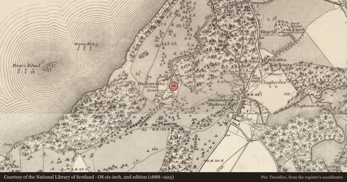 Ordnance Survey six-inch map, 2nd edition (1888–1915) covering the location of Religious house - Franciscan friars, Muckross, County Kerry, with a pin at the register's coordinates
